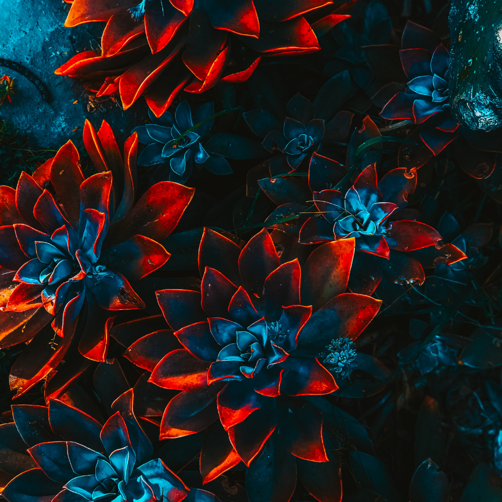 freelance-artist-floral-4 Flower Bed